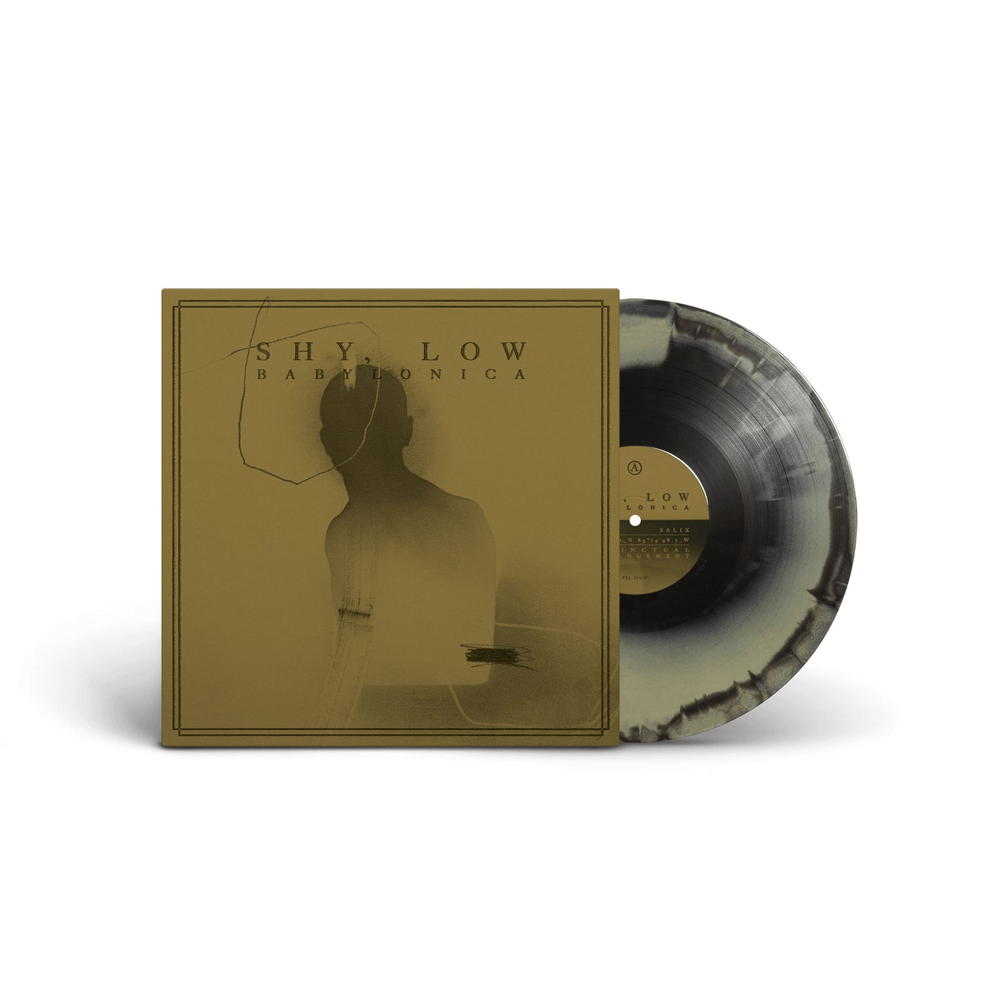 Shy, Low "Babylonica" 12"