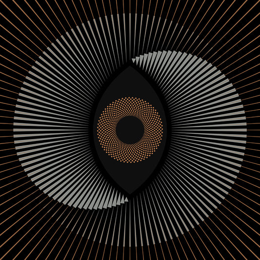 The Ocean "Holocene" 12"