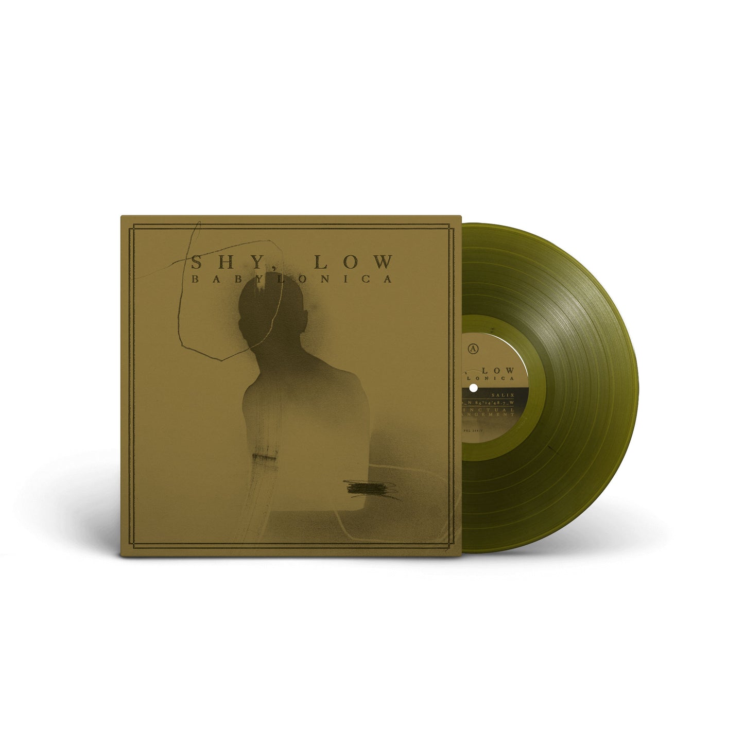Shy, Low "Babylonica" 12"