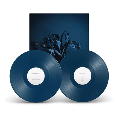 A Swarm Of The Sun "The Rifts (gatefold)" 2x12"
