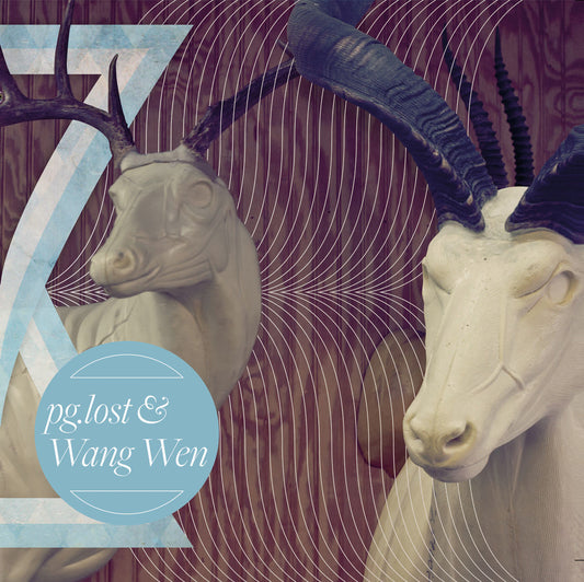 Pg.lost / Wang Wen "Split" 12"