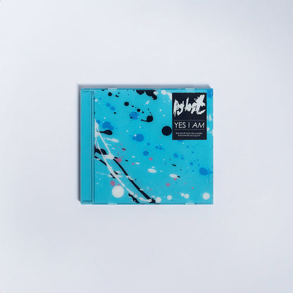 Pg.lost "Yes I Am" 12"